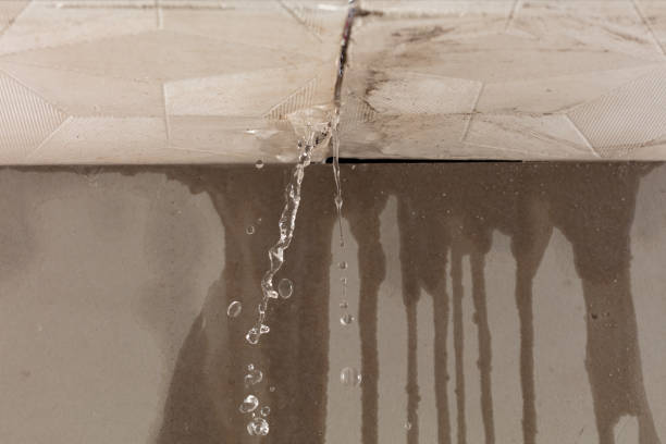 Professional Burst Pipe Cleanup technician working in West Palm Beach, FL